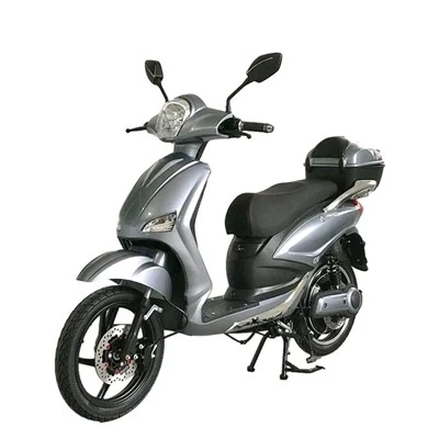 EEC 800W električni skuter motocikl